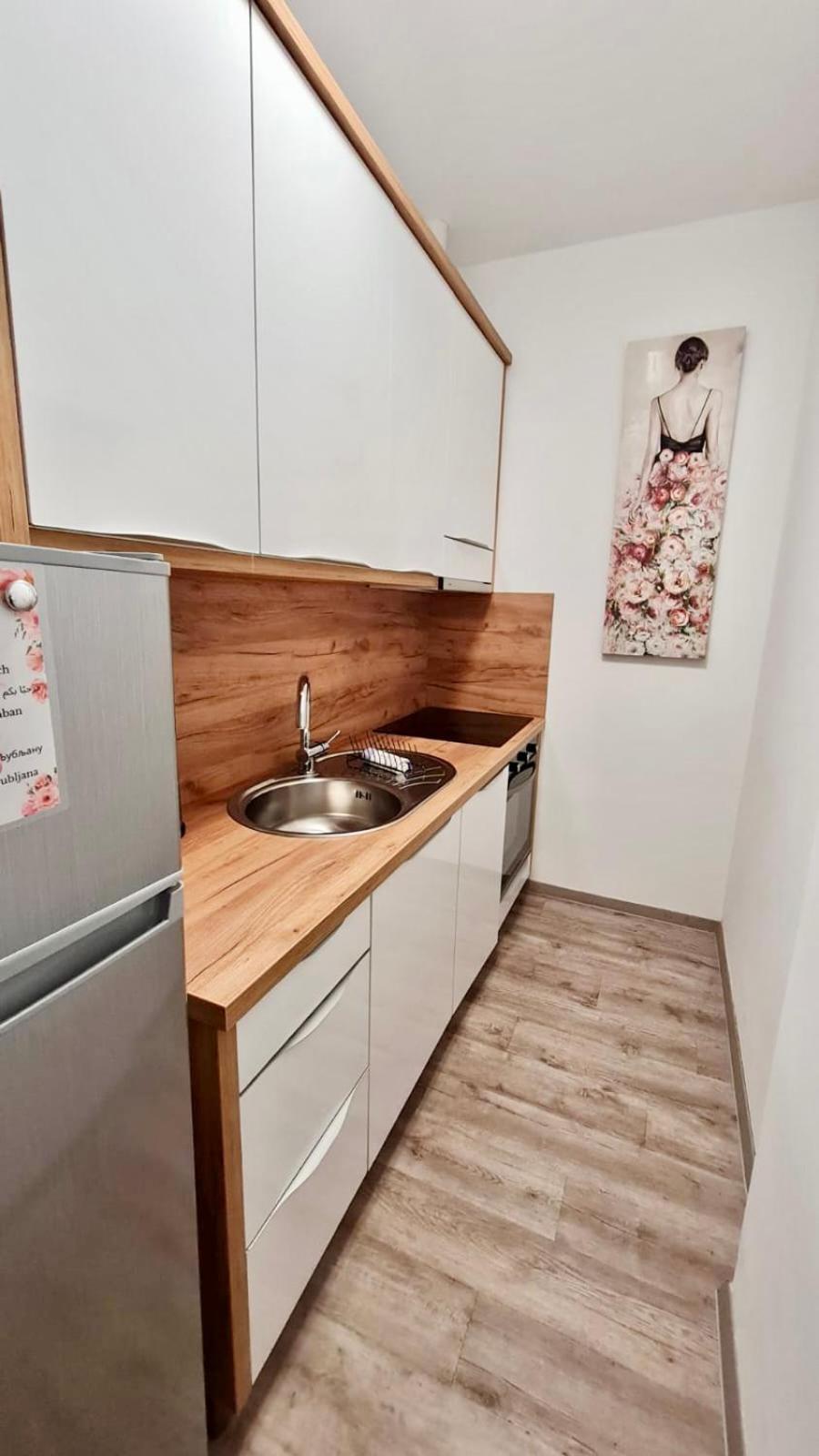 Ljubljana Central Lux Apartment With Free Parking Bagian luar foto